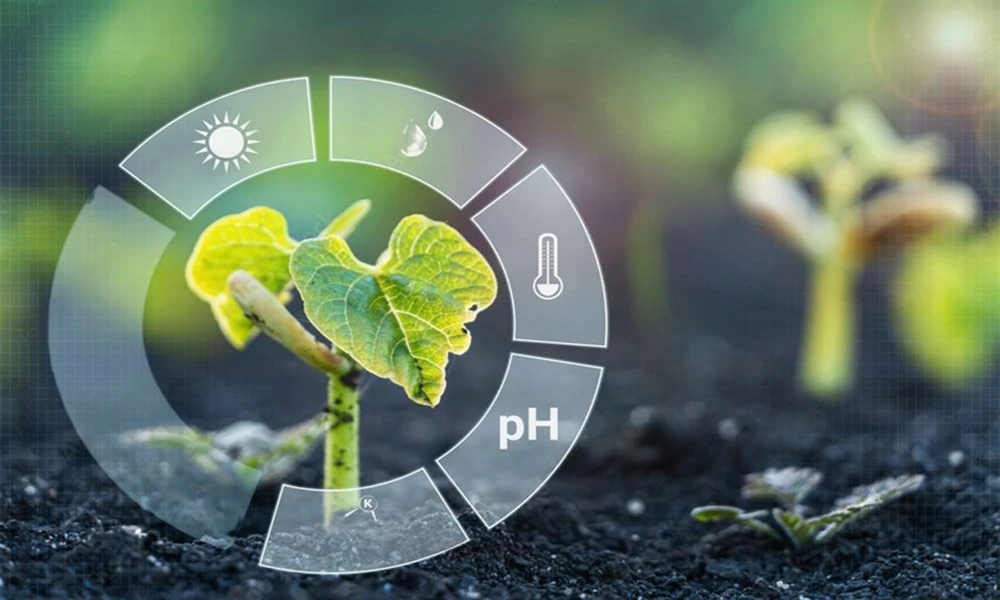 Nurturing Tomorrow's Harvest: The Art and Science of Precision Farming