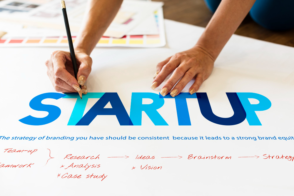 Empowering Innovation Vishvena's Tailored Support for Startups and SMEs